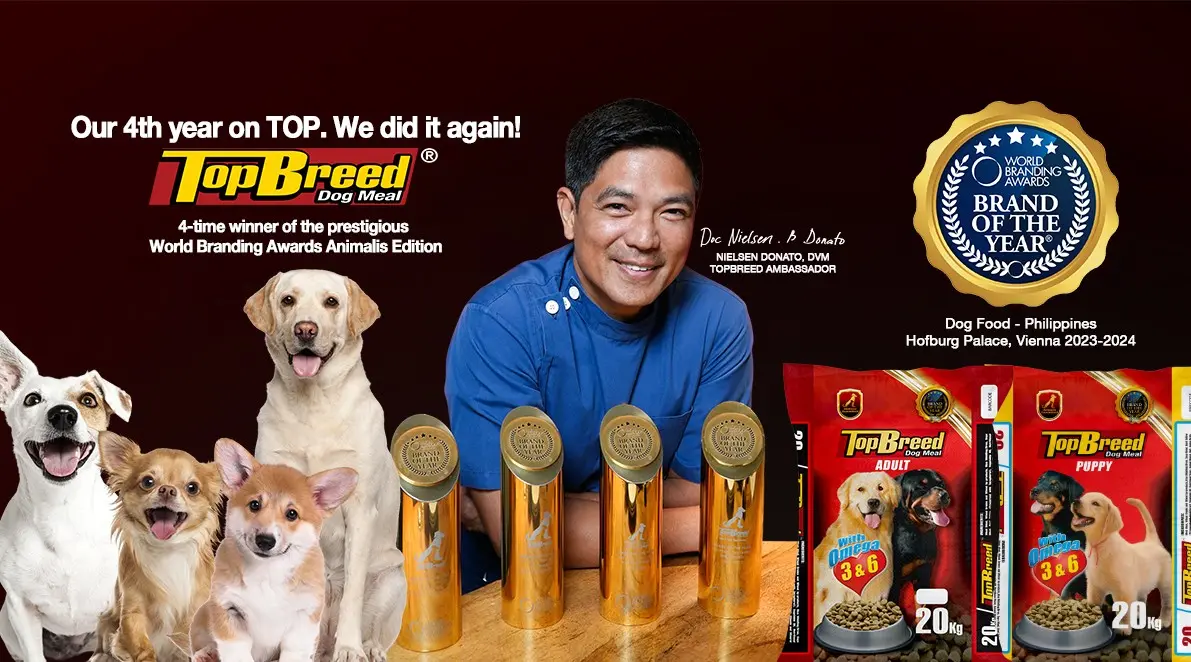 TopBreed - Social Media Campaigns, Content, and Engagement
